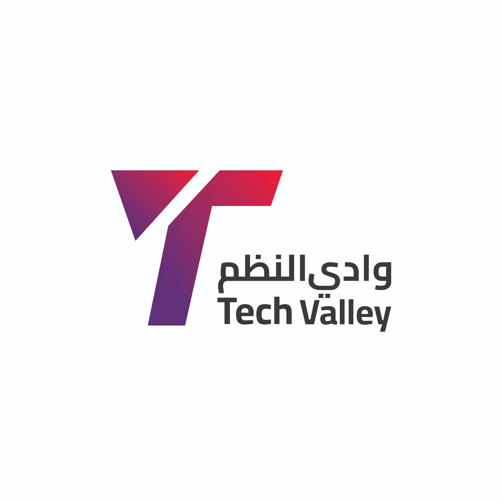 Tech Valley Information Technology